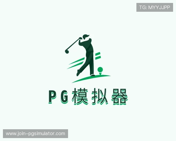 认识pg模拟器
